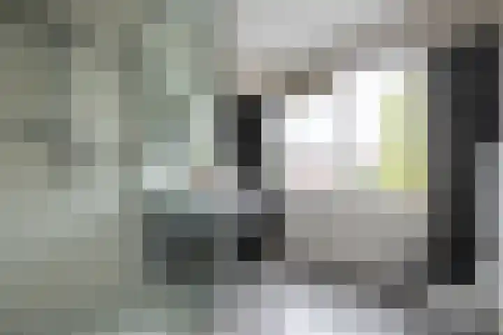 Multatulistraat 71 Gorinchem thumbnail 11