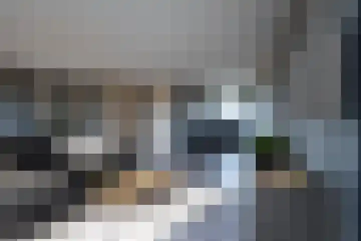 Multatulistraat 71 Gorinchem thumbnail 21