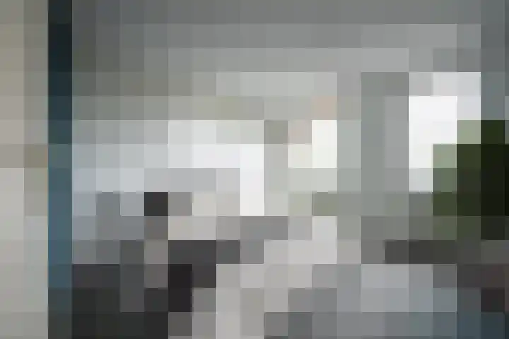 Multatulistraat 71 Gorinchem thumbnail 6