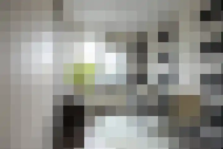 Multatulistraat 71 Gorinchem thumbnail 8