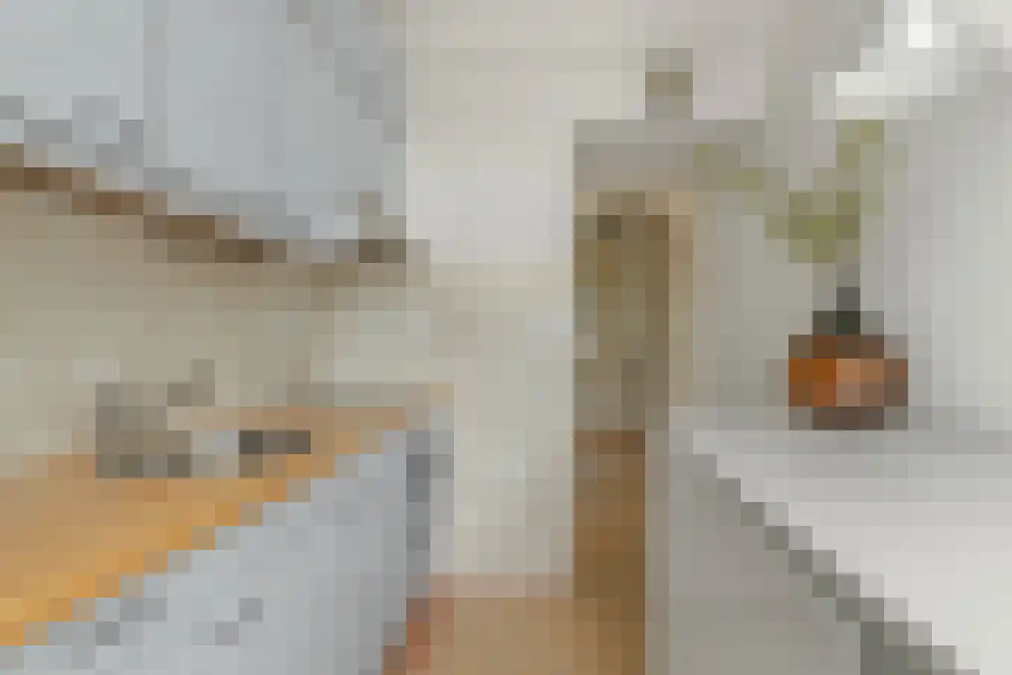 Multatulistraat 75 Vleuten thumbnail 13