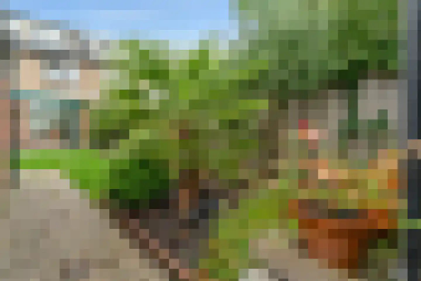Multatulistraat 75 Vleuten thumbnail 27
