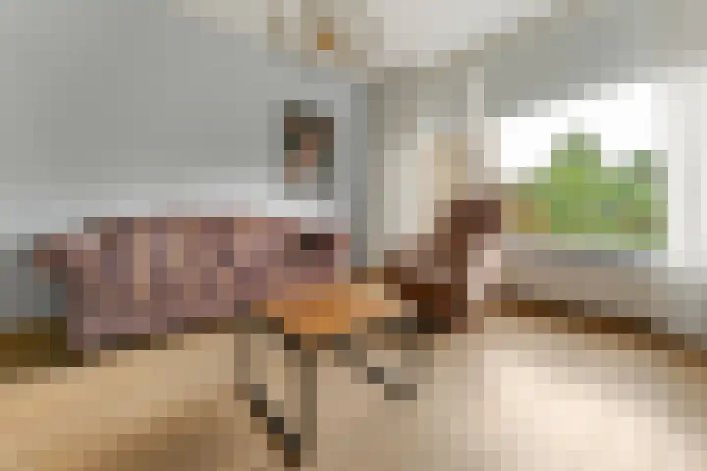 Multatulistraat 75 Vleuten thumbnail 7