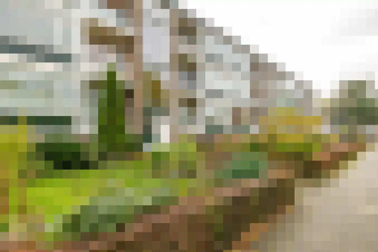 Multatulistraat 86 Groningen thumbnail 11