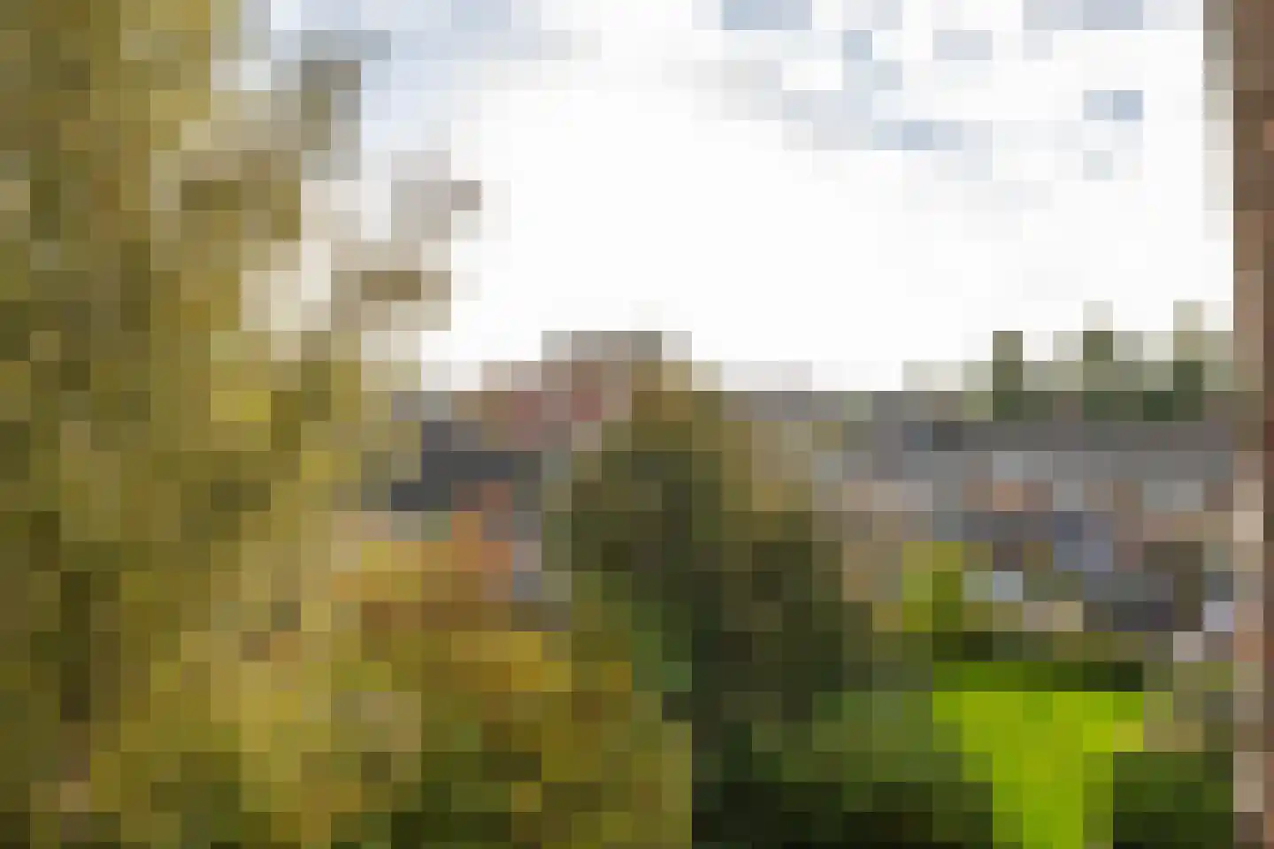 Multatulistraat 86 Groningen thumbnail 4