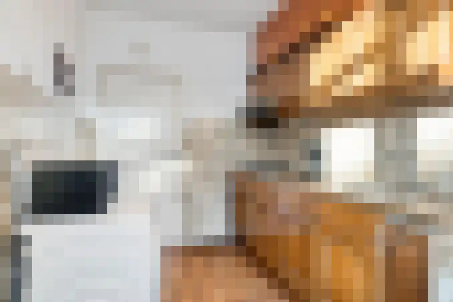 Multatulistraat 9 Breda thumbnail 9