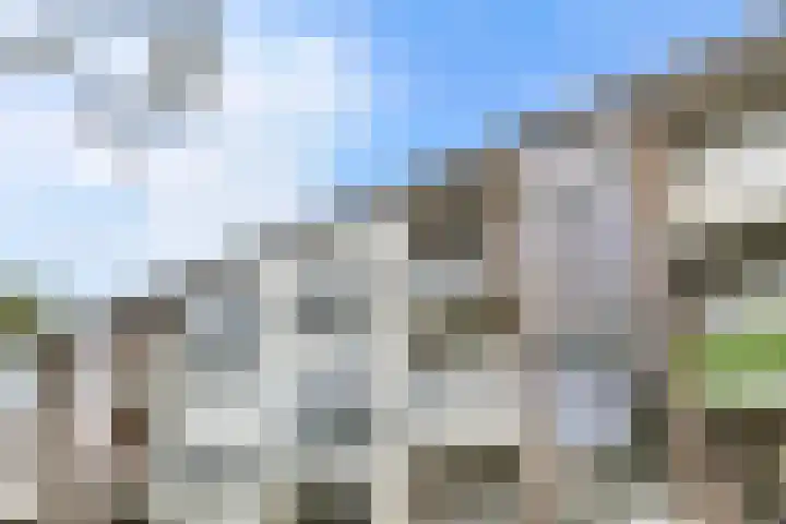 Multatulistraat 96 Groningen thumbnail 10