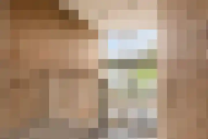 Multatulistraat 96 Groningen thumbnail 12