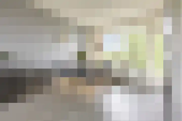 Multatulistraat 96 Groningen thumbnail 21