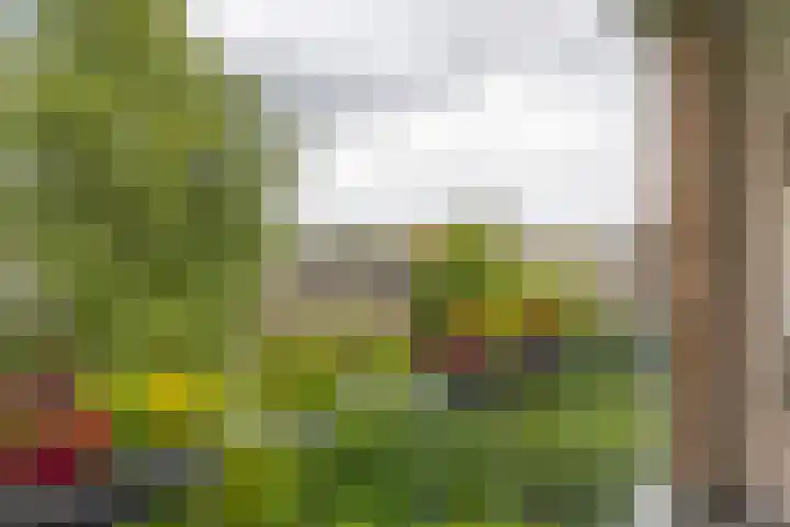 Multatulistraat 96 Groningen thumbnail 25