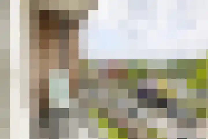 Multatulistraat 96 Groningen thumbnail 26