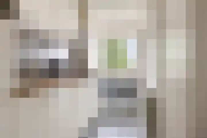 Multatulistraat 96 Groningen thumbnail 27