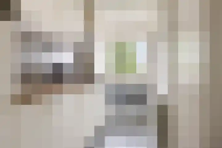 Multatulistraat 96 Groningen thumbnail 4