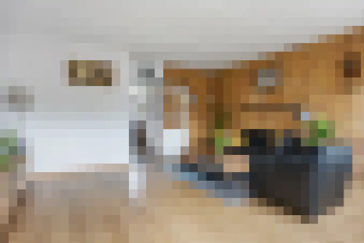 Multatuliweg 41 Muntendam thumbnail 10