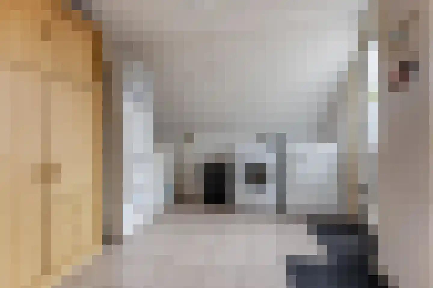Multatuliweg 41 Muntendam thumbnail 15