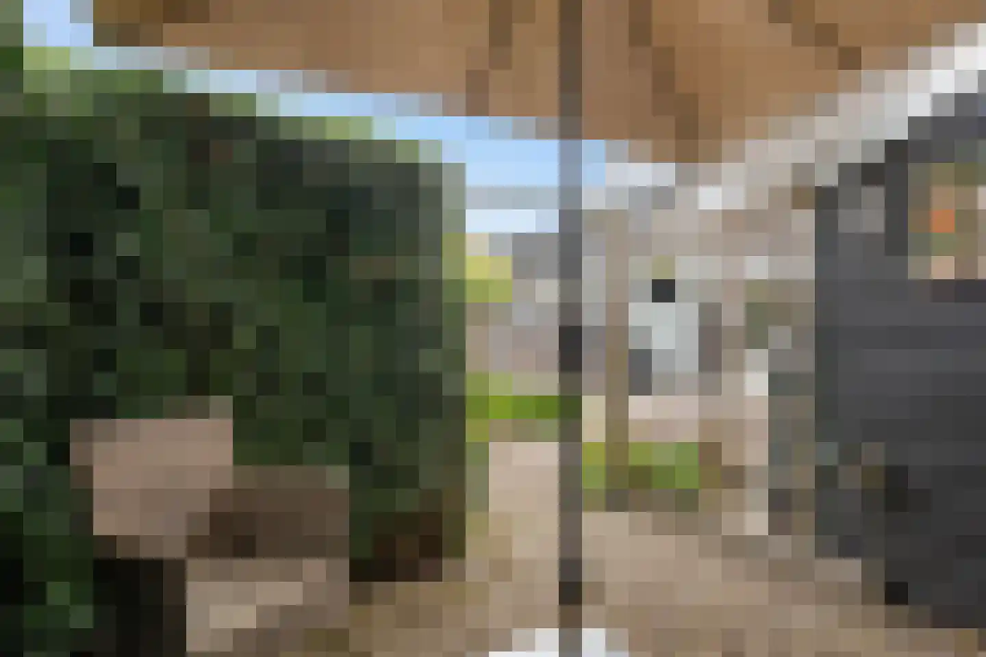 Multatuliweg 41 Muntendam thumbnail 34