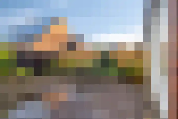 Multatuliweg 64 Muntendam thumbnail 30
