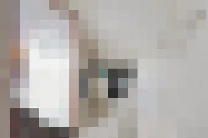 Mumsenstraat 14 's-Gravenzande thumbnail 30