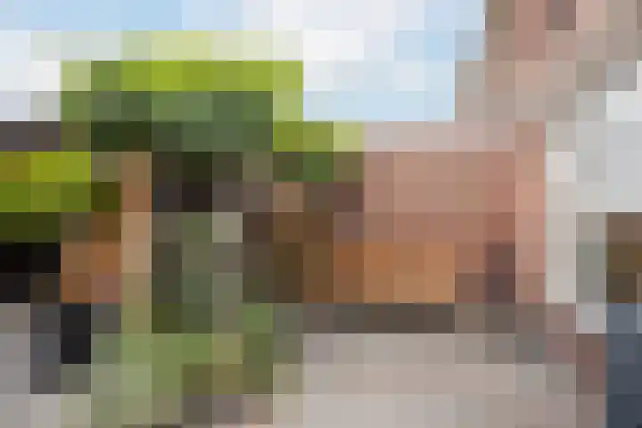 Mumsenstraat 8 's-Gravenzande thumbnail 17