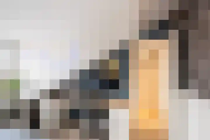 Mumsenstraat 8 's-Gravenzande thumbnail 34