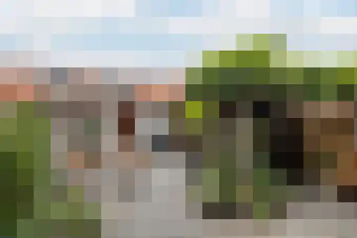 Mumsenstraat 8 's-Gravenzande thumbnail 6