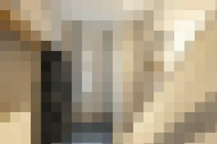 Mumsenstraat 8 's-Gravenzande thumbnail 8