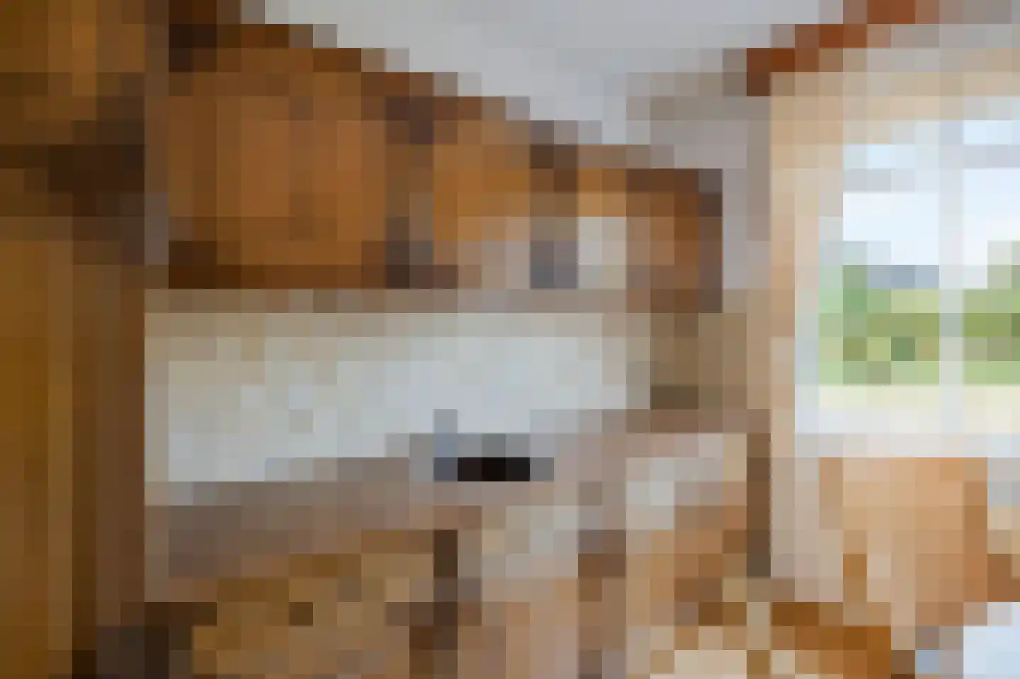 Muncadostraat 2 Stevensweert thumbnail 20