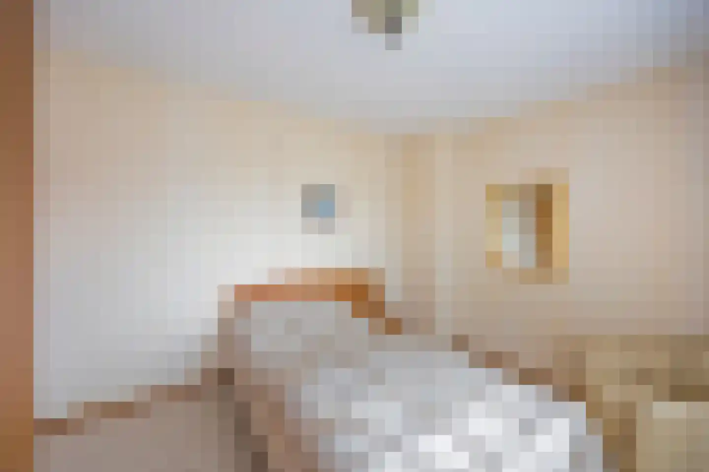 Muncadostraat 2 Stevensweert thumbnail 35
