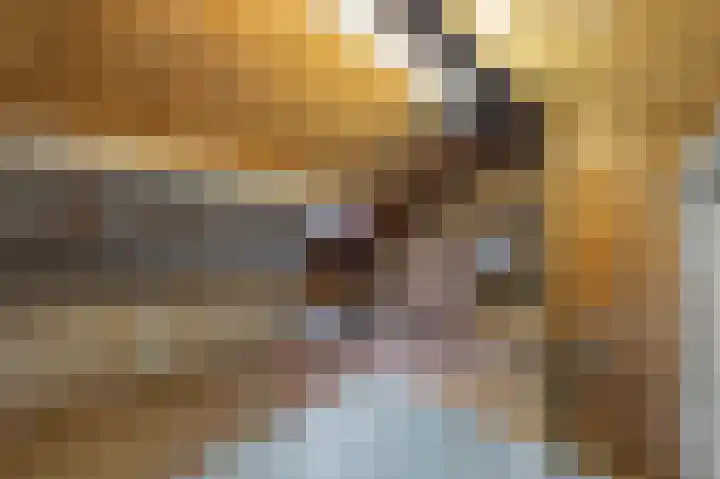 Muncadostraat 9 Stevensweert thumbnail 33