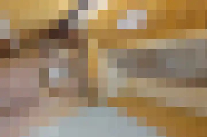 Muncadostraat 9 Stevensweert thumbnail 34