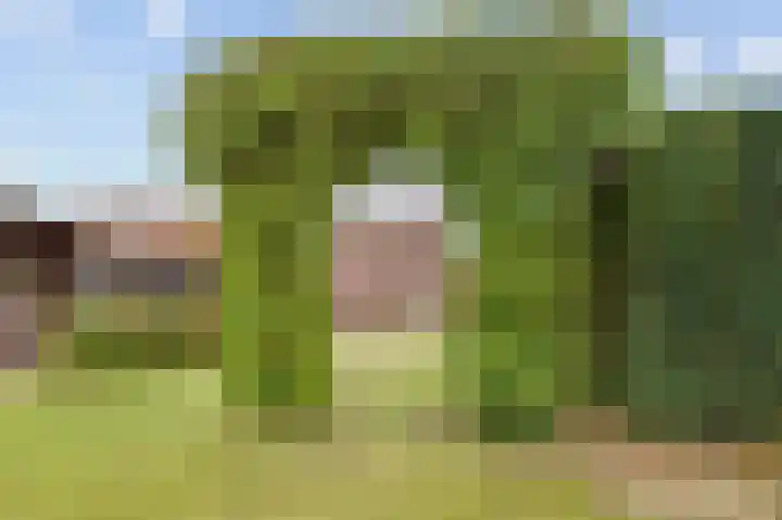 Muncadostraat 9 Stevensweert thumbnail 37