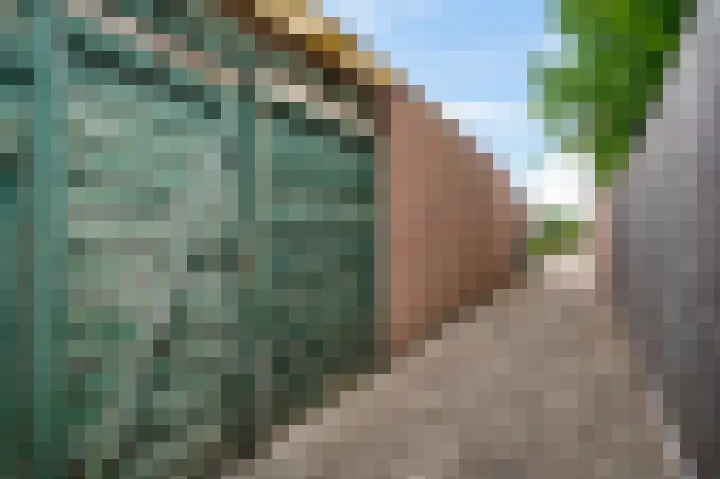 Munckhofplein 6 America thumbnail 29