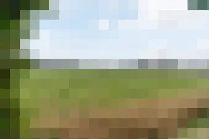 Mûnehiem 15 Ljussens thumbnail 32