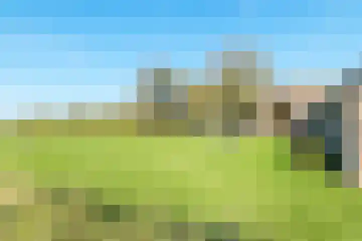 Mûnewei 1 Peazens foto 2