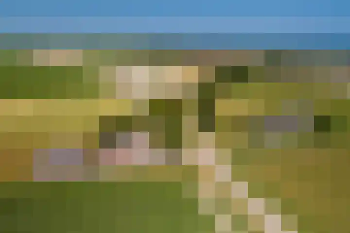Mûnewei 1 Peazens thumbnail 4