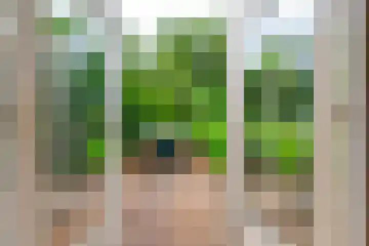 Mûnewei 16 Easternijtsjerk thumbnail 11