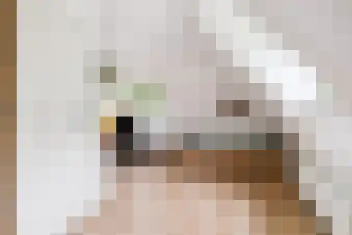 Mûnewei 16 Easternijtsjerk thumbnail 31
