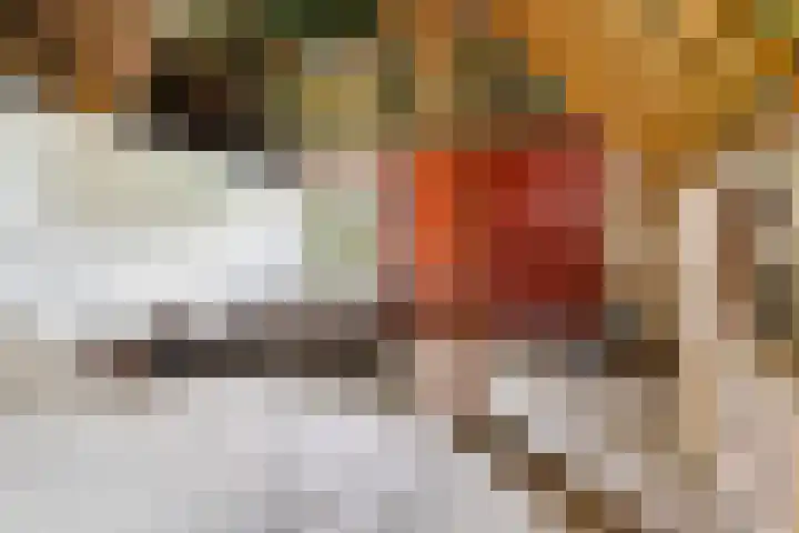 Mûnewei 16 Easternijtsjerk thumbnail 34