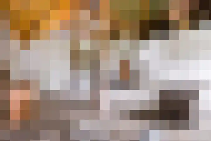 Mûnewei 16 Easternijtsjerk thumbnail 35