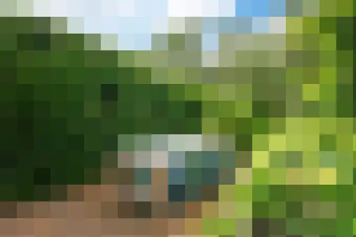Mûnewei 16 Easternijtsjerk thumbnail 36