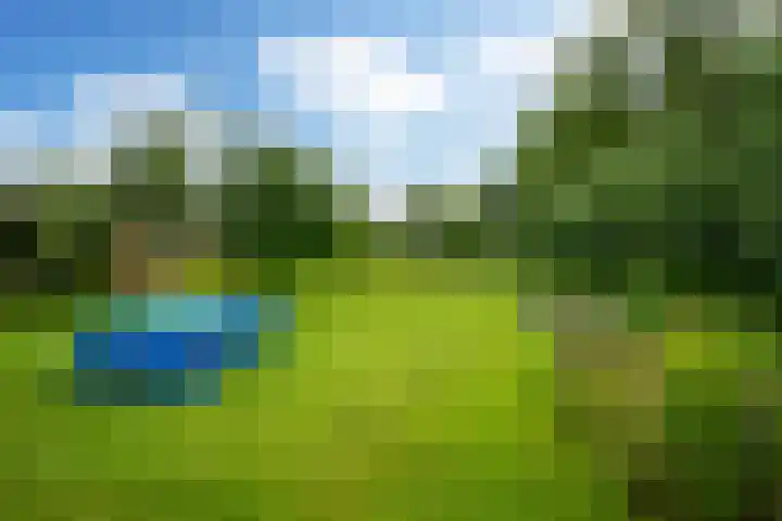 Mûnewei 16 Easternijtsjerk thumbnail 38