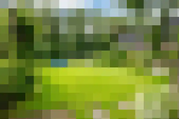 Mûnewei 16 Easternijtsjerk thumbnail 39