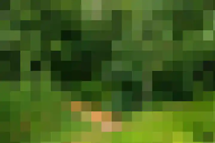 Mûnewei 16 Easternijtsjerk thumbnail 40
