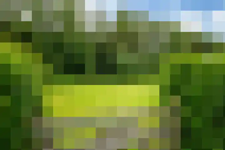 Mûnewei 16 Easternijtsjerk thumbnail 41