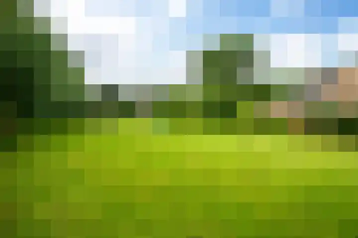 Mûnewei 16 Easternijtsjerk thumbnail 42