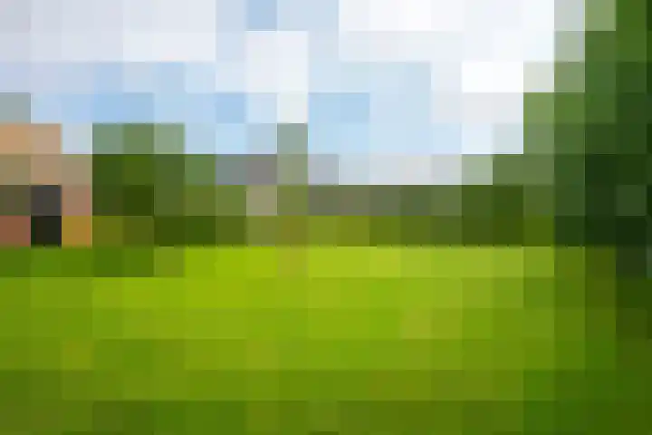 Mûnewei 16 Easternijtsjerk thumbnail 43