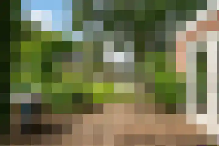 Mûnewei 16 Easternijtsjerk thumbnail 44