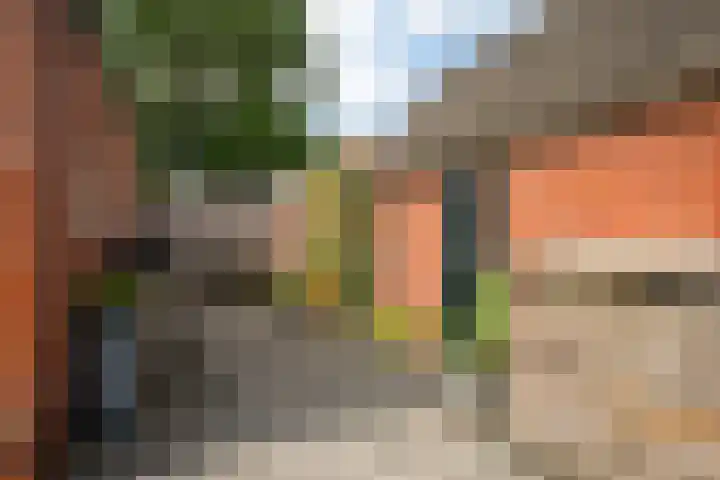 Mûnewei 16 Easternijtsjerk thumbnail 46
