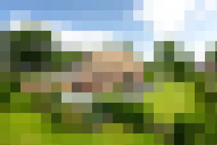 Mûnewei 16 Easternijtsjerk thumbnail 47