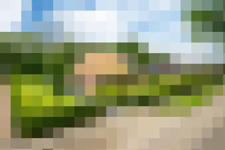 Mûnewei 16 Easternijtsjerk thumbnail 48